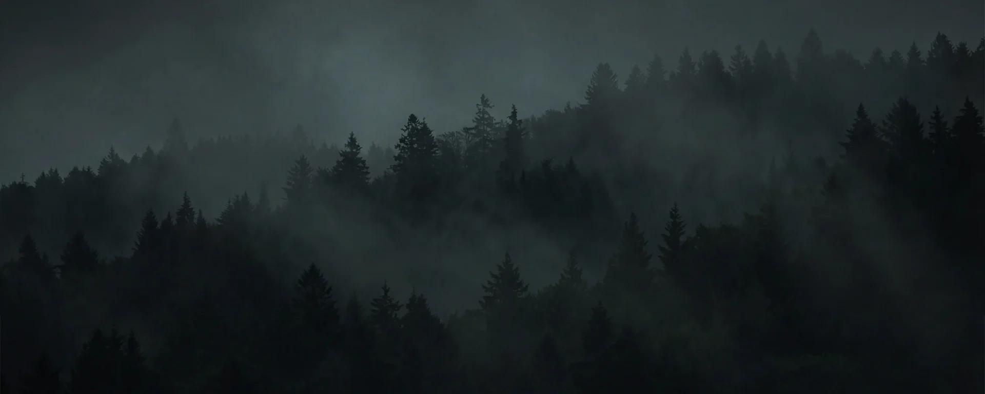 Dichter, nebliger Wald im Morgengrauen, geheimnisvolle Atmosphäre, natürliche Landschaft, dunkles Grün der Bäume.